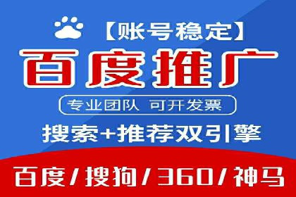 某某sem推广公司实战案例：精准投放提升转化率